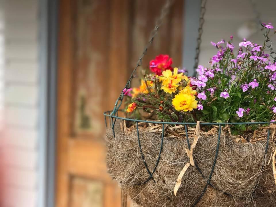 Robin Hoods Well Farm Stay Sassafras Екстериор снимка