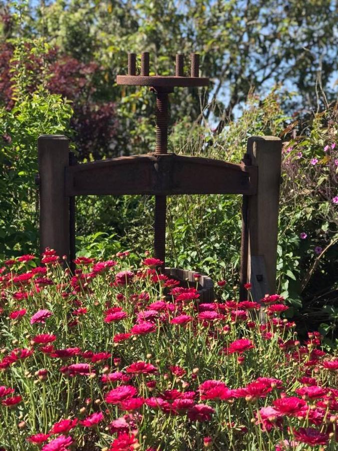 Robin Hoods Well Farm Stay Sassafras Екстериор снимка