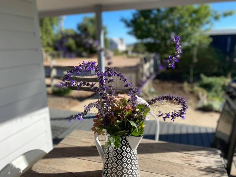 Robin Hoods Well Farm Stay Sassafras Екстериор снимка