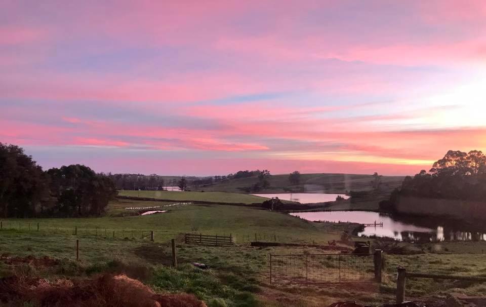 Robin Hoods Well Farm Stay Sassafras Екстериор снимка