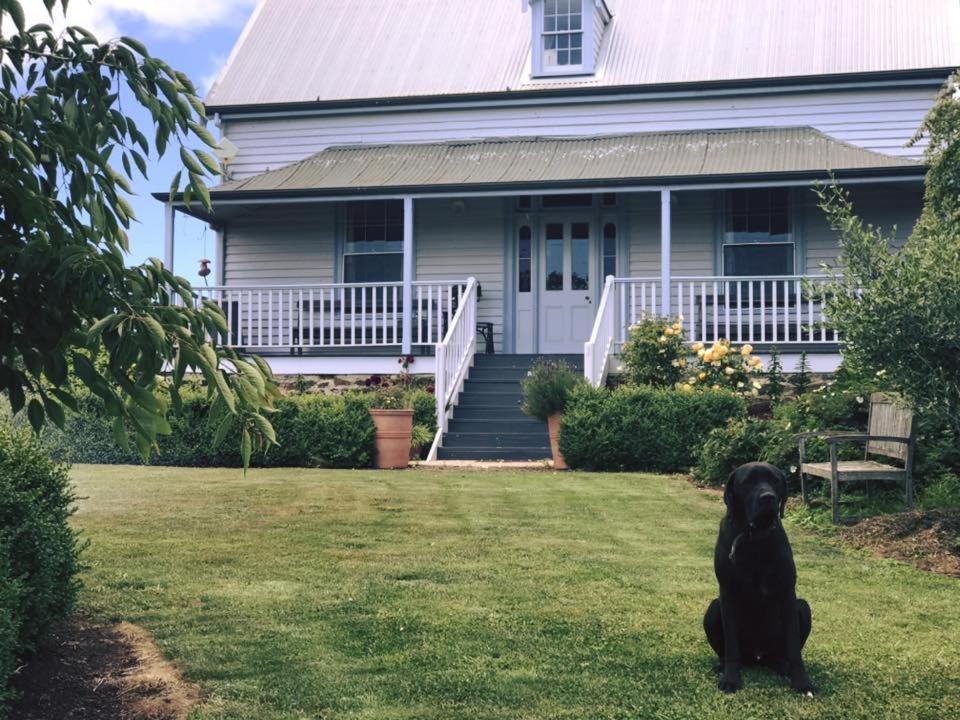 Robin Hoods Well Farm Stay Sassafras Екстериор снимка