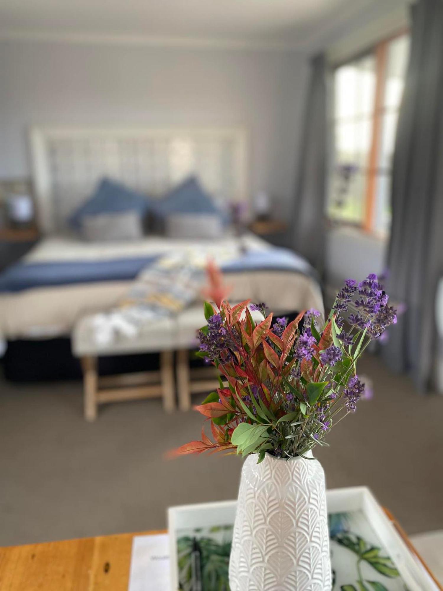 Robin Hoods Well Farm Stay Sassafras Екстериор снимка