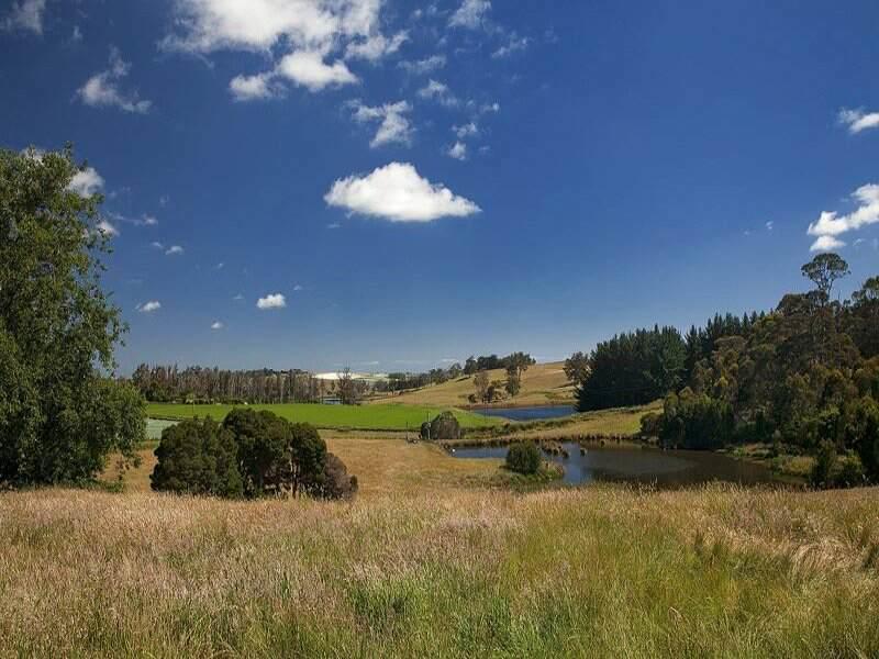 Robin Hoods Well Farm Stay Sassafras Екстериор снимка