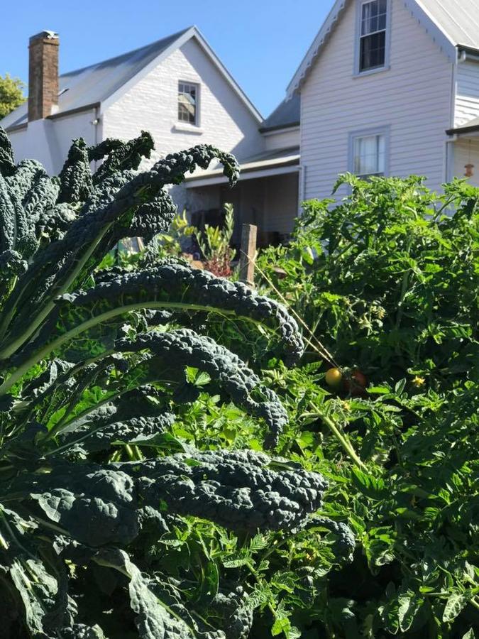 Robin Hoods Well Farm Stay Sassafras Екстериор снимка